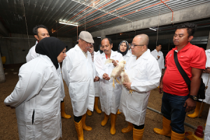 Lawatan ke Ladang Ayam Pedaging Rasa (Leong Hup)