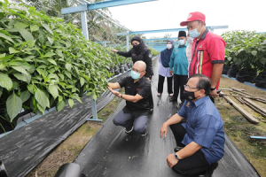 Lawatan YBM dan YBTM I ke Pusat Pengumpulan Hasil Ladang PPK Kuala Langat