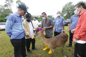 Lawatan YBTM I MAFI ke Projek Ternakan Rusa