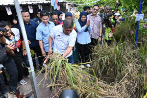 Lawatan Kerja YB Menteri KPKM ke Kebun Komuniti Rumah Pangsa AU2