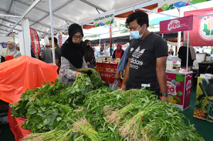 Program Jualan Agro MADANI Mega LPP